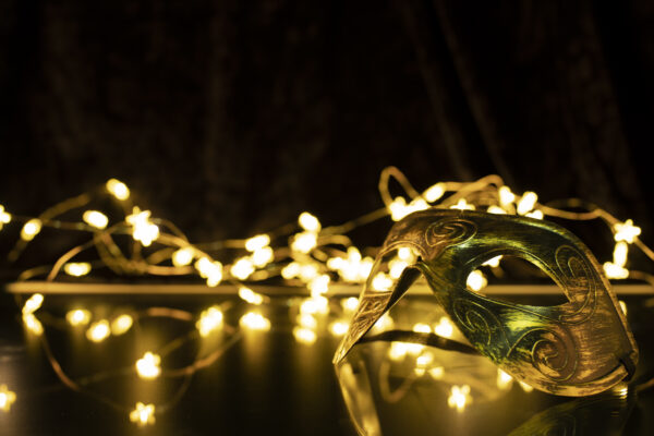 Специалисты поделились советами, как выбрать новогодние елки в Санкт-Петербурге