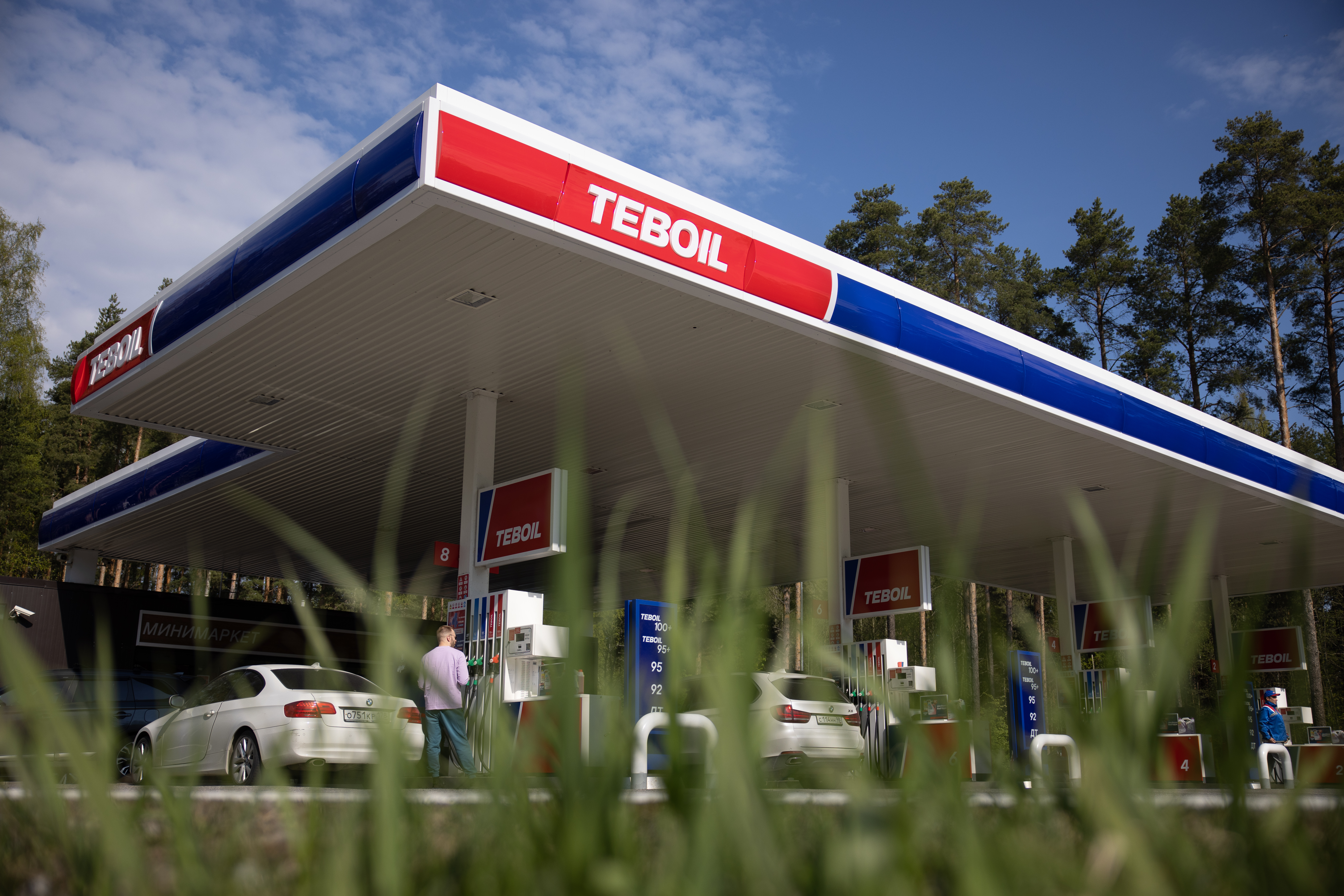 Во благо природы: Teboil и «Сохрани лес» запустили совместный проект